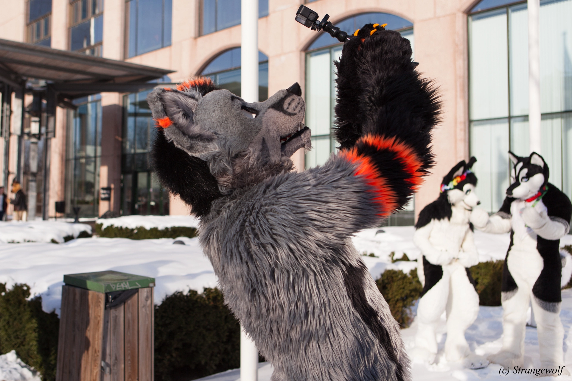 full image IMG_9889-lr19t.jpg