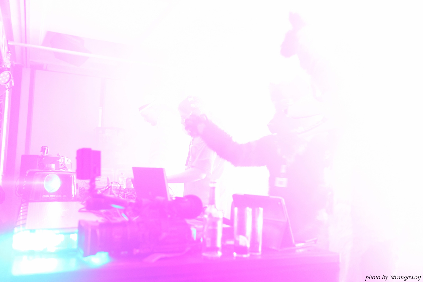 full image IMG_7621-lr16t.jpg