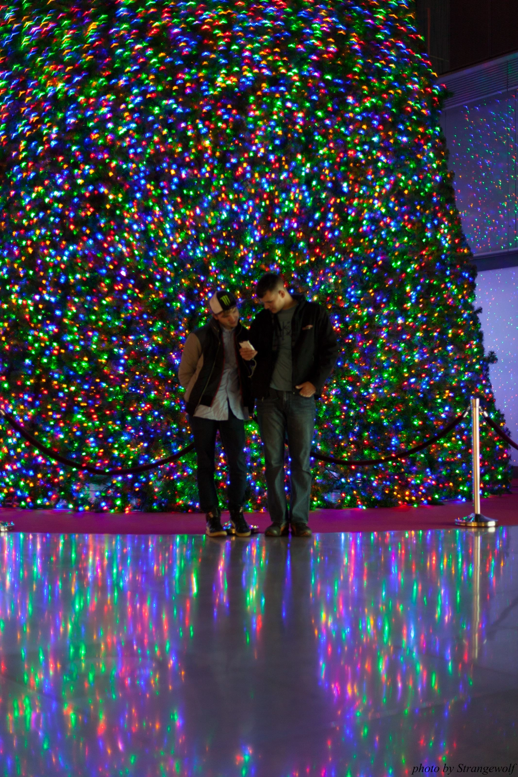 full image IMG_5834-lr16t.jpg