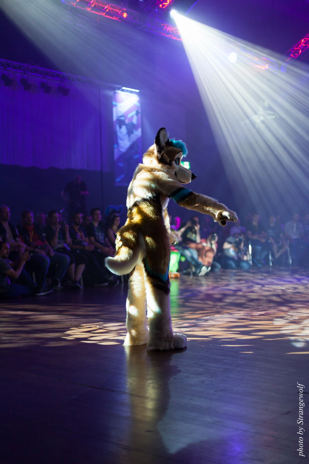 full image IMG_9663-lr16t.jpg