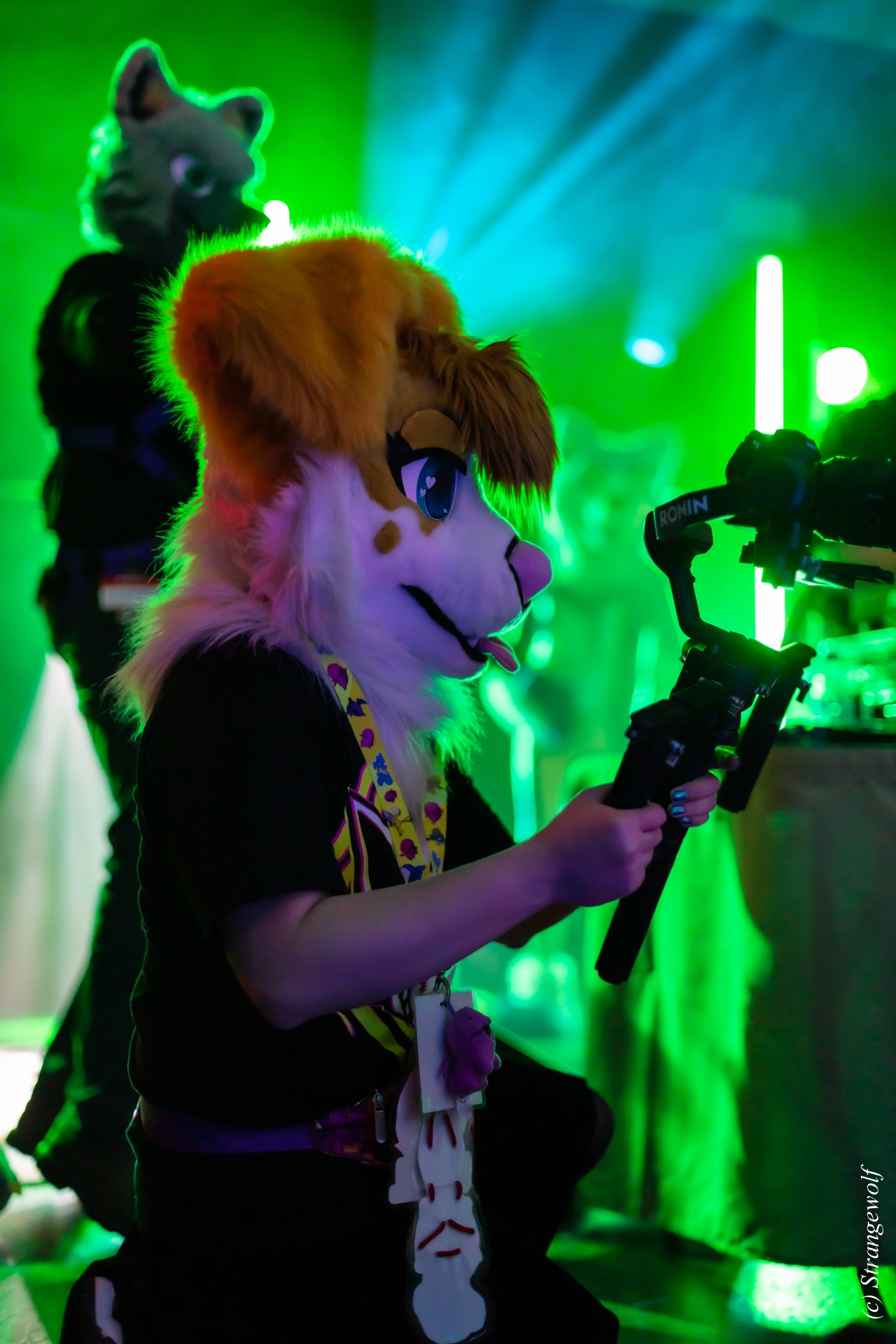 full image 1R3A0600-lr19t.jpg