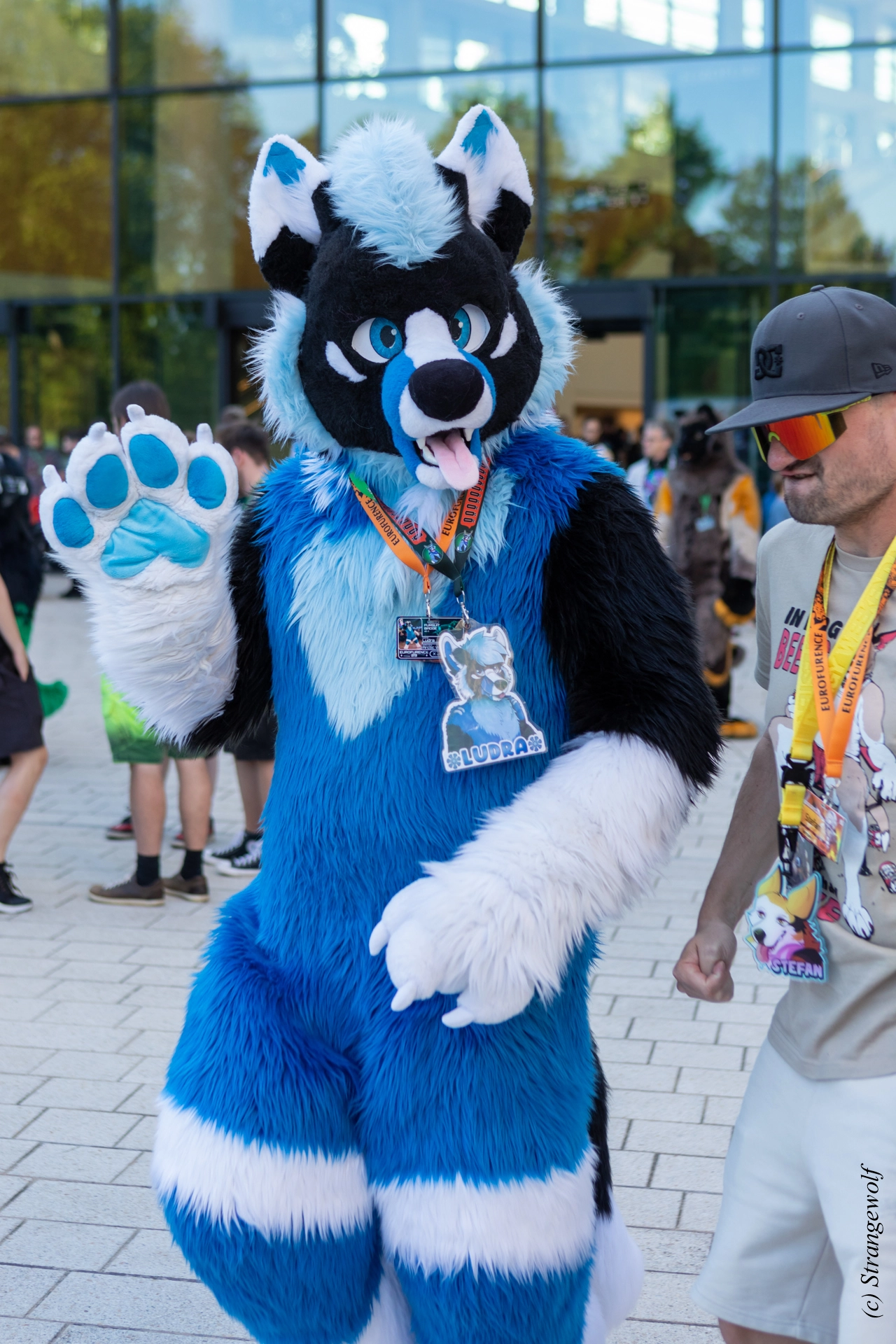 full image 1R3A9315-lr19t.jpg