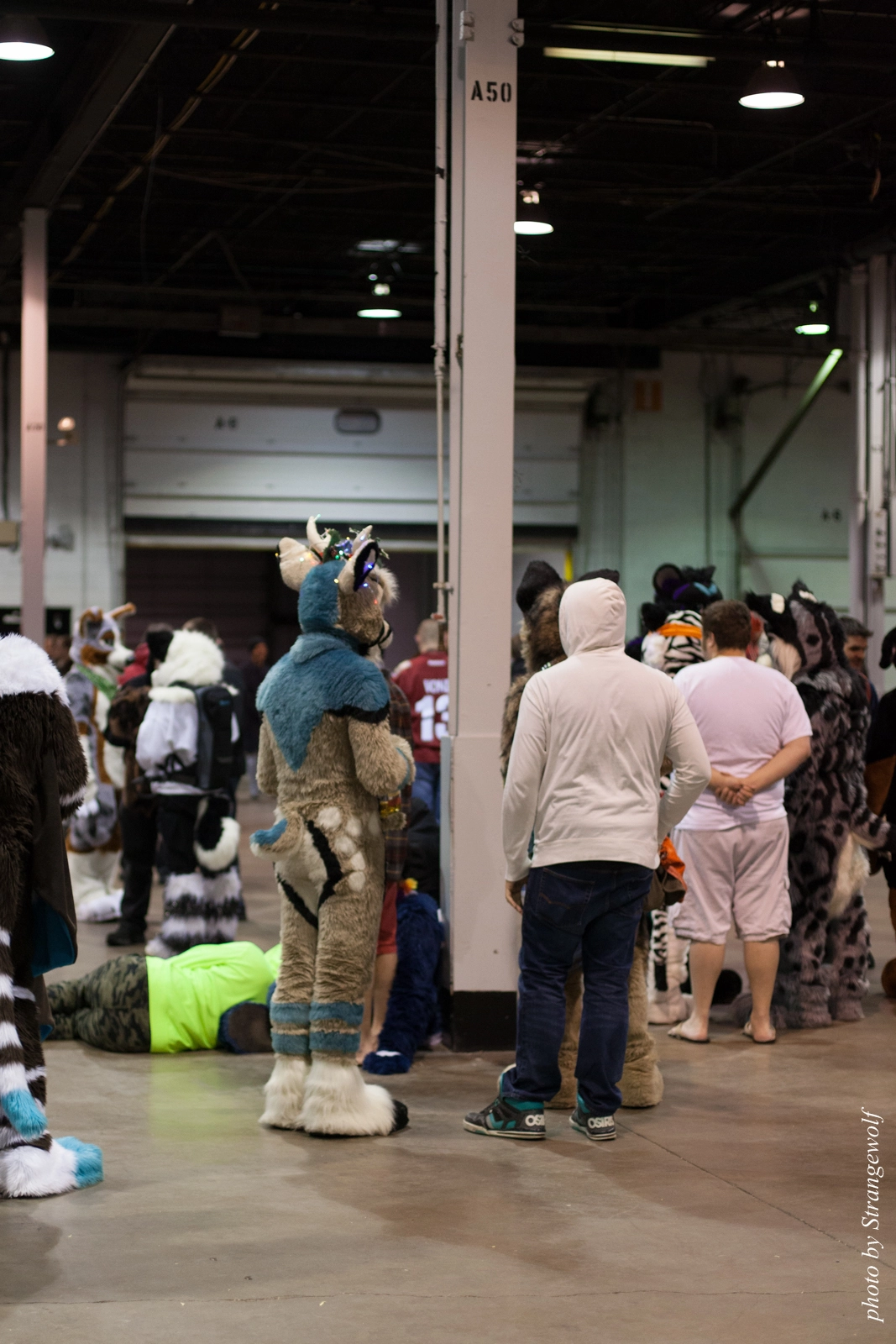 full image IMG_6480-lr16t.jpg