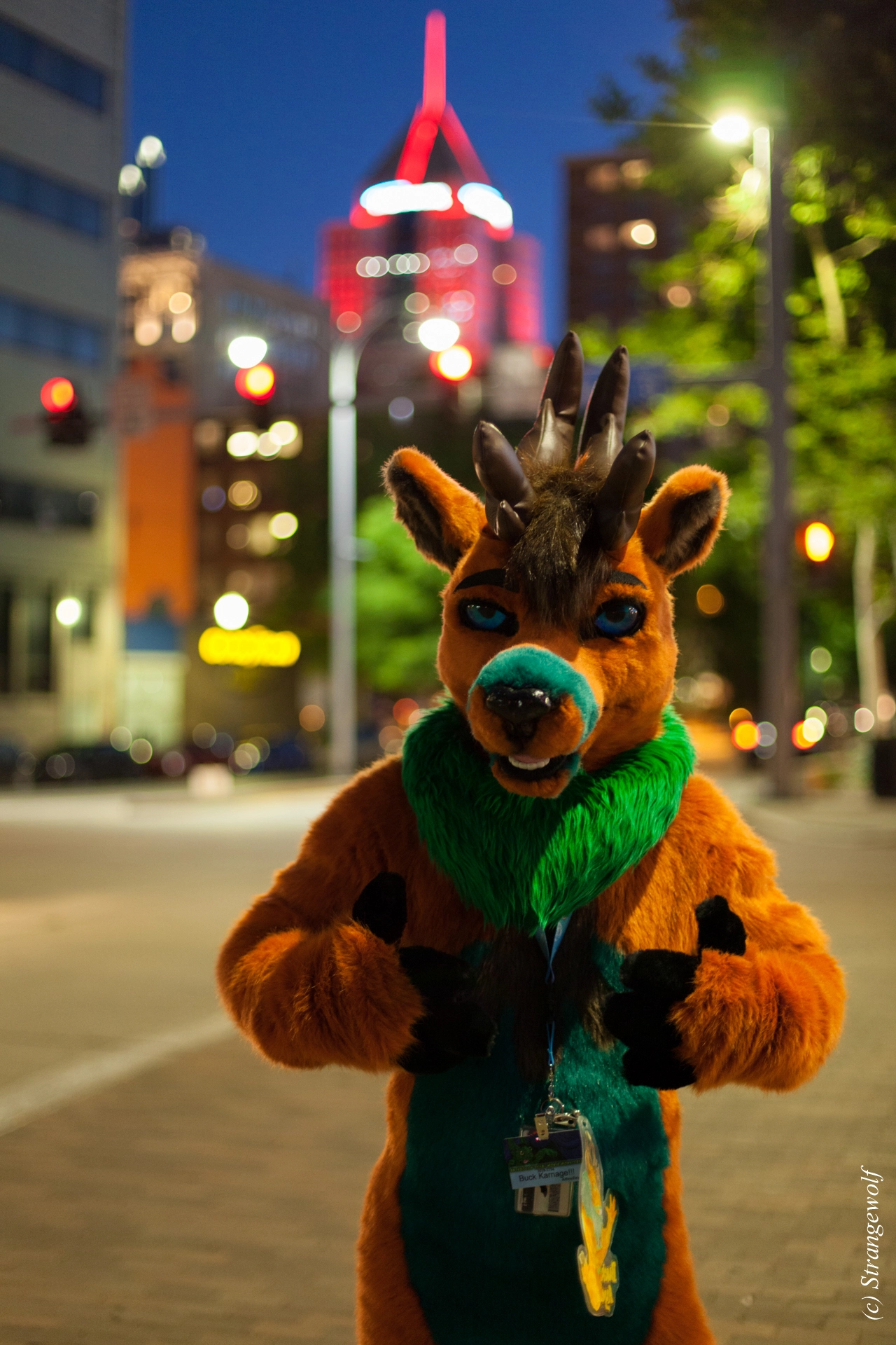 full image IMG_4570-lr19t.jpg