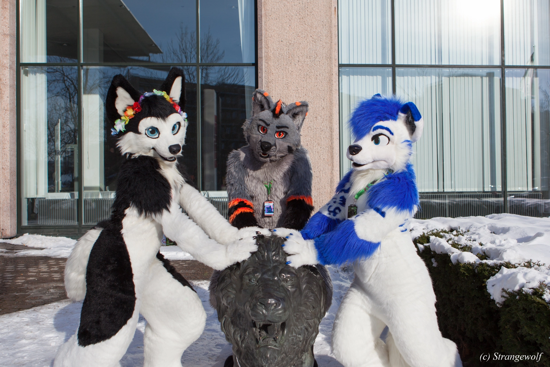 full image IMG_9653-lr19t.jpg