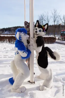 IMG_9836-lr19t.jpg of NFC/NFC2018/