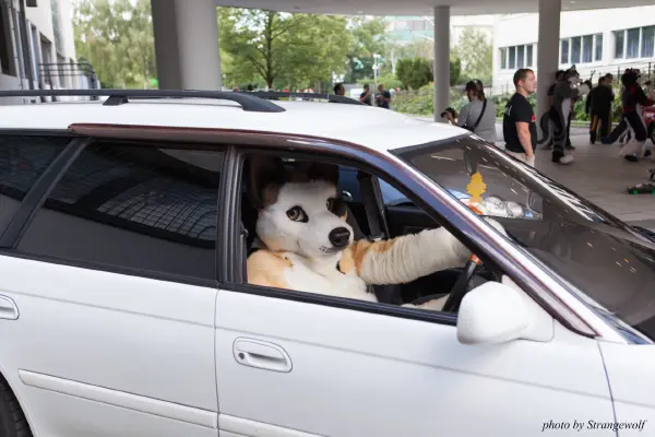 IMG_6811-lr19t.jpg of EF/EF23/MotorFurs/