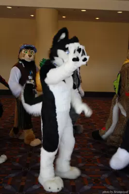 IMG_0571-lr.jpg of MFF/MFF2013/