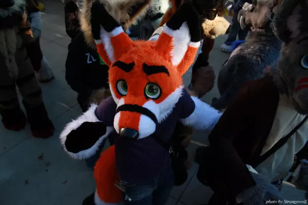 IMG_0666-lr.jpg of MFF/MFF2013/