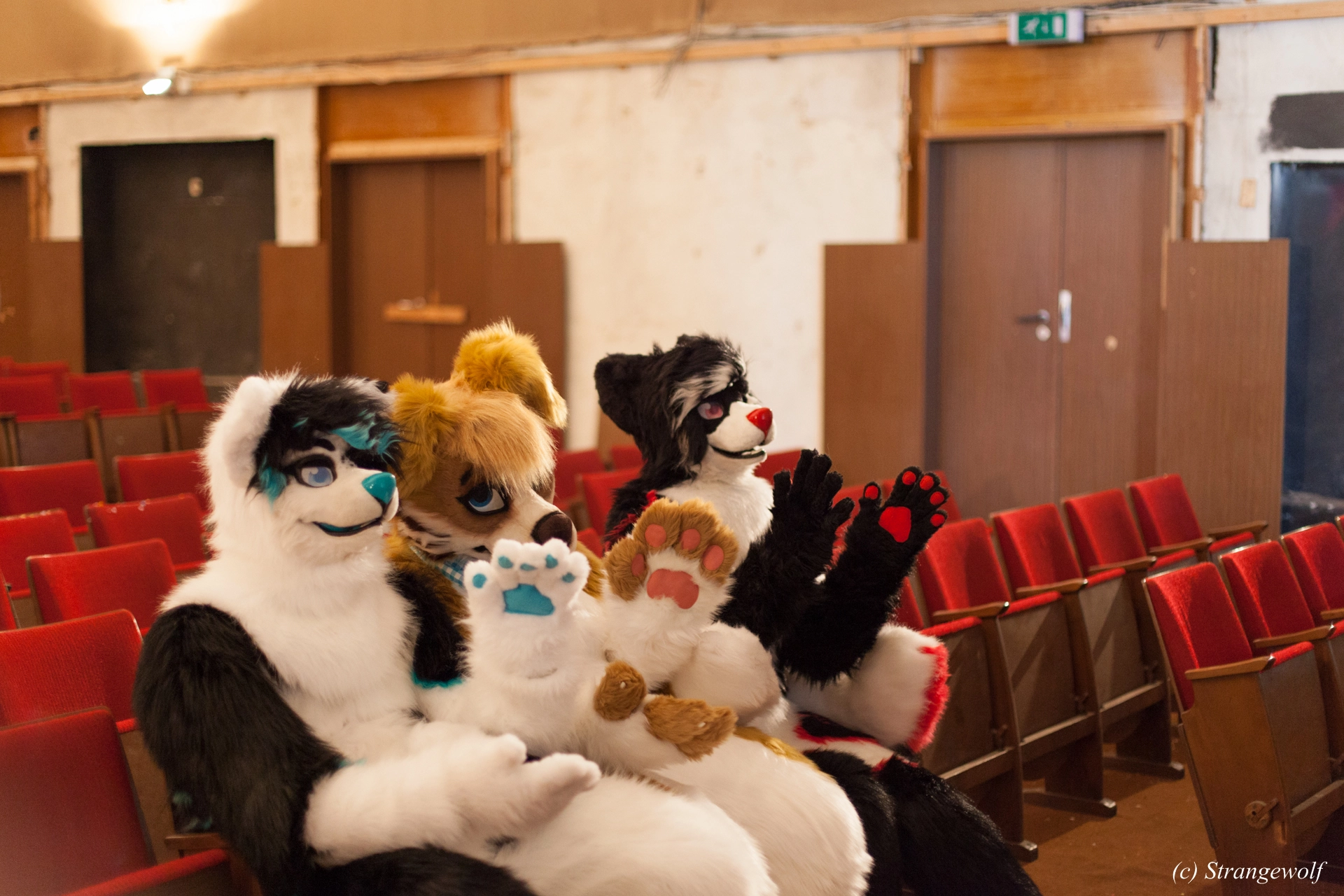 full image IMG_5949-lr19t.jpg