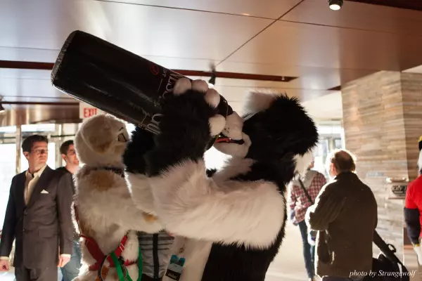 IMG_8179-lr19t.jpg of MFF/MFF2017/