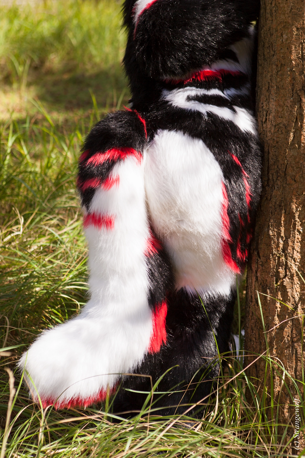 full image IMG_6258-lr19t.jpg
