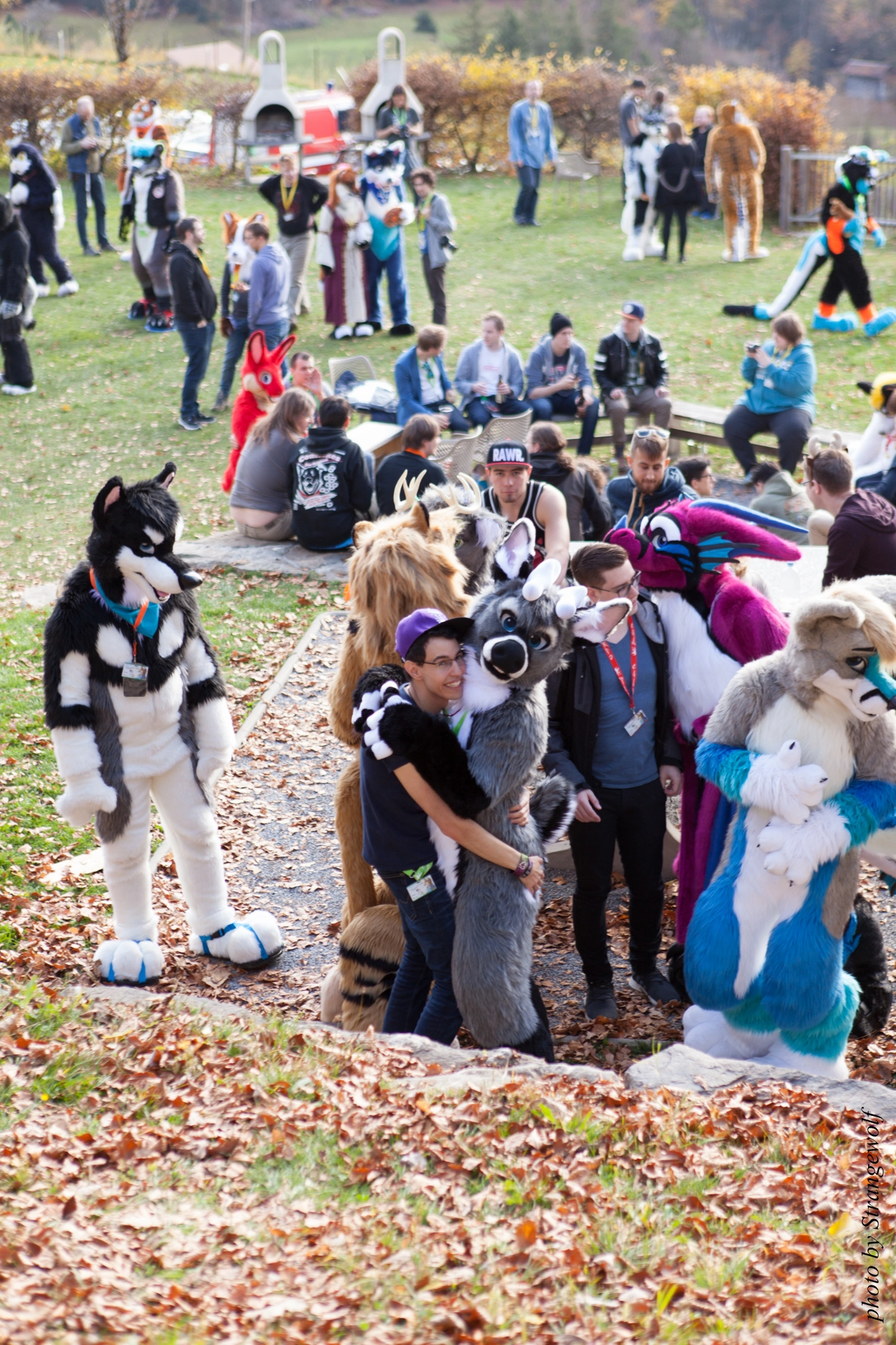 full image IMG_7862-lr19t.jpg