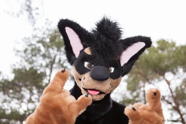 IMG_8596-lr19t.jpg of NFC/NFC2019/Shoot-Strife_Carlito/