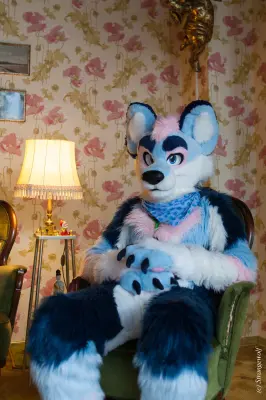 IMG_8427-lr19t.jpg of NFC/NFC2020/