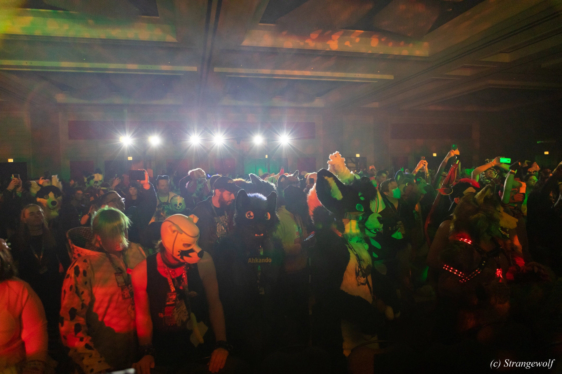 full image 1R3A4647-lr19t.jpg