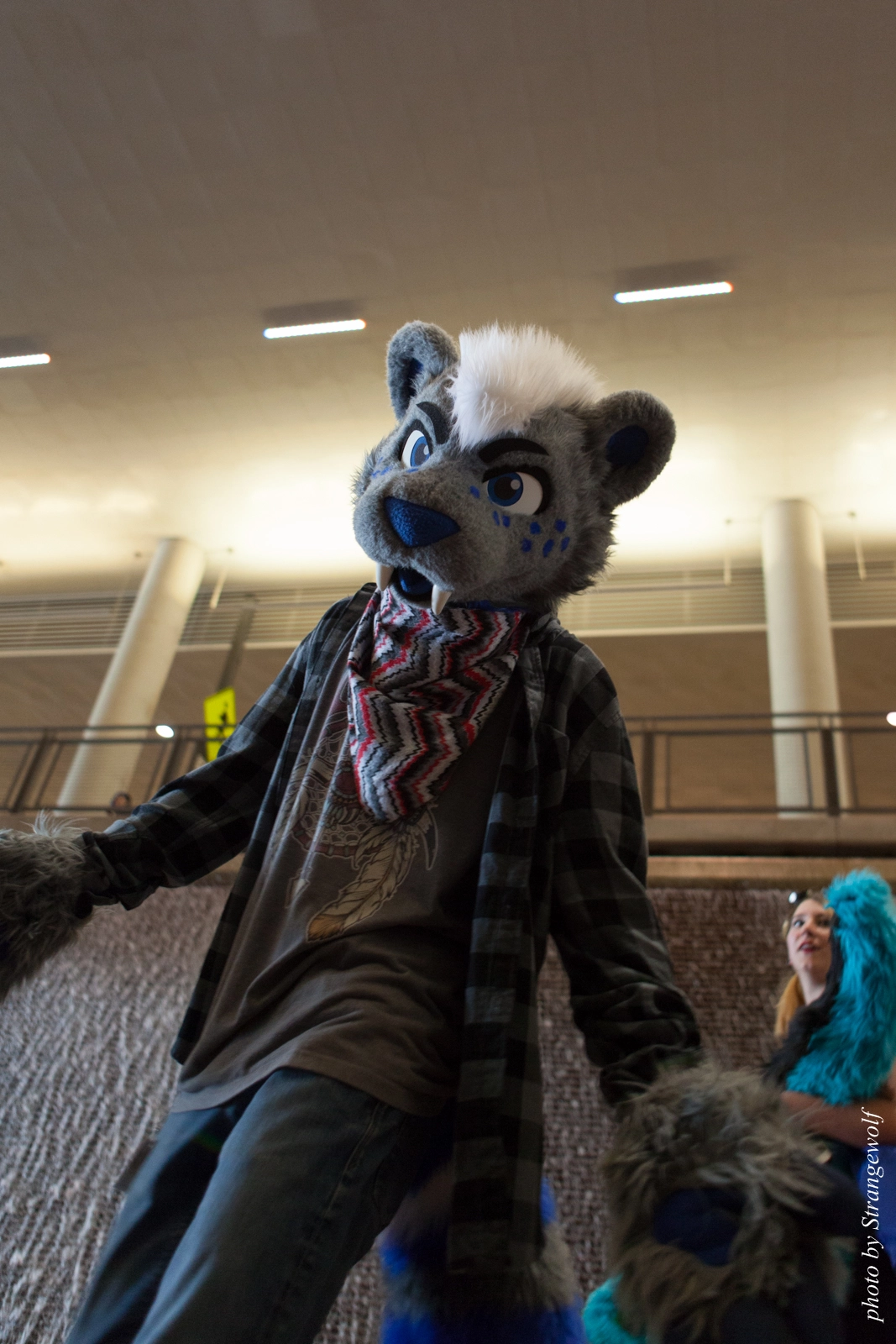 full image IMG_8269-lr16t.jpg