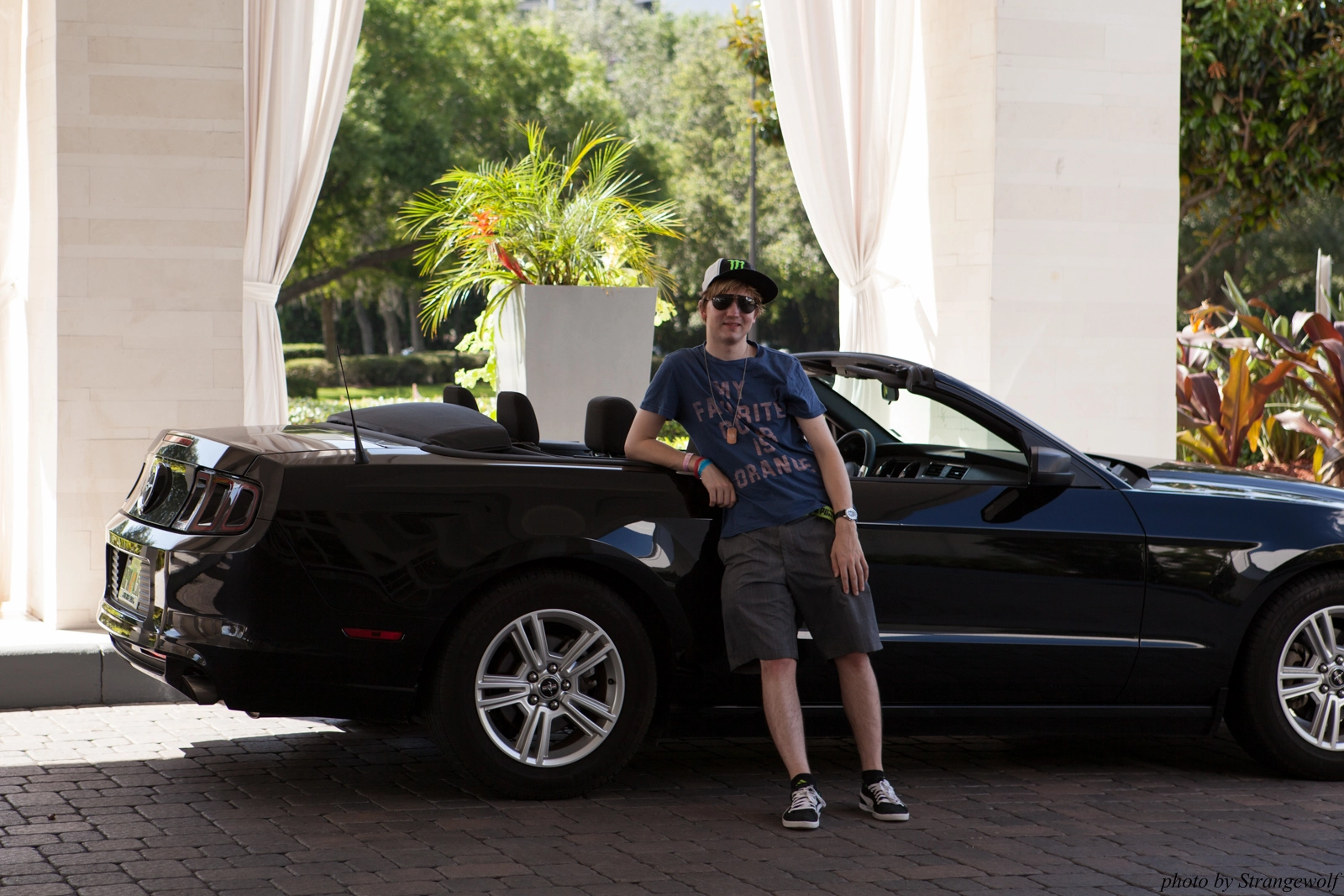 full image IMG_8850-lr16t.jpg