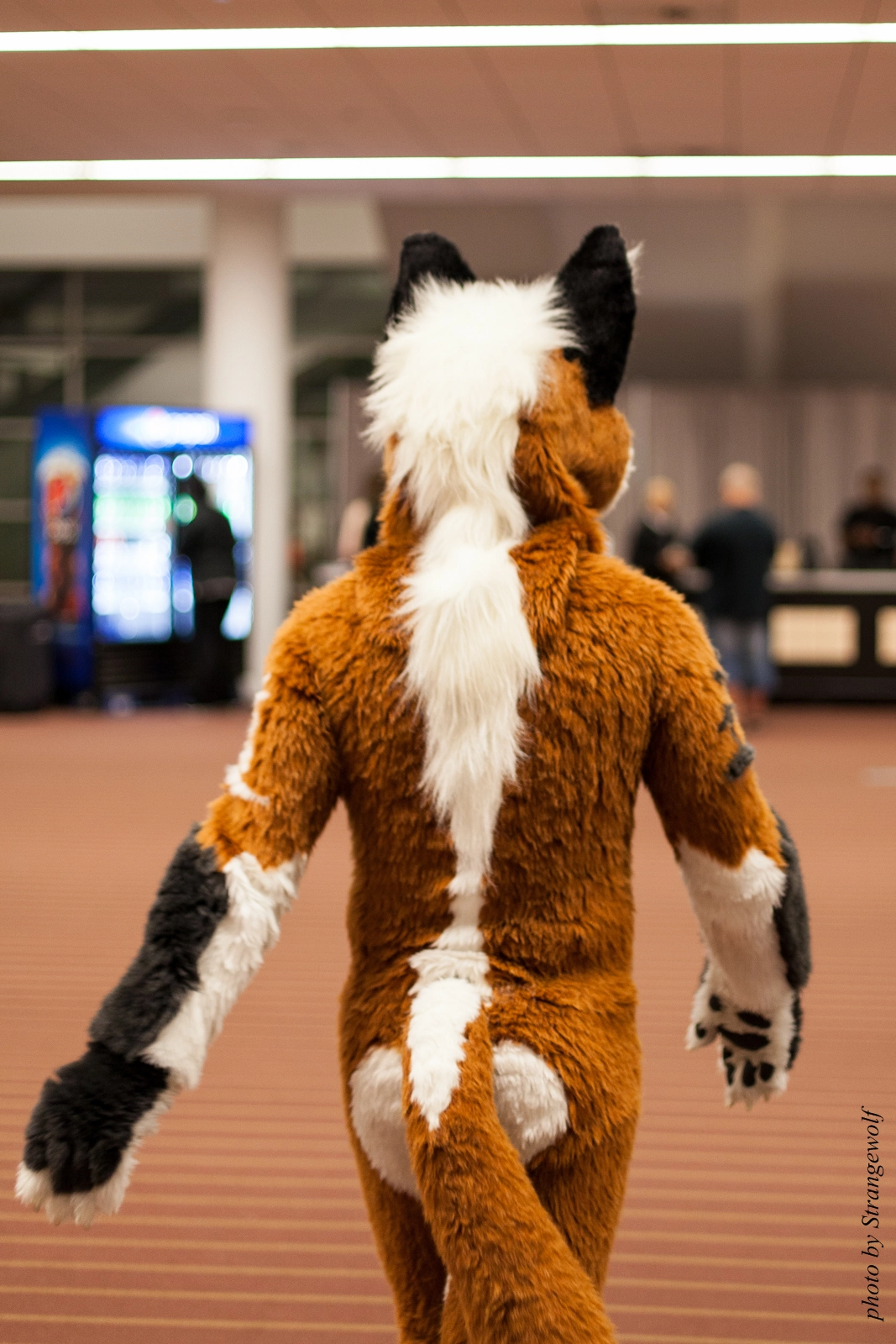 full image IMG_4683-lr16t.jpg