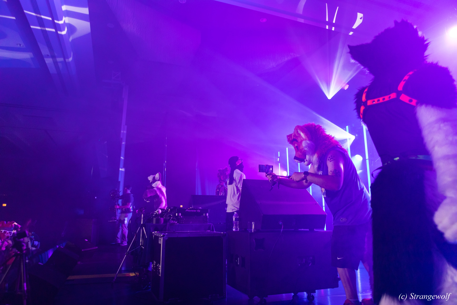 full image 1R3A4927-lr19t.jpg