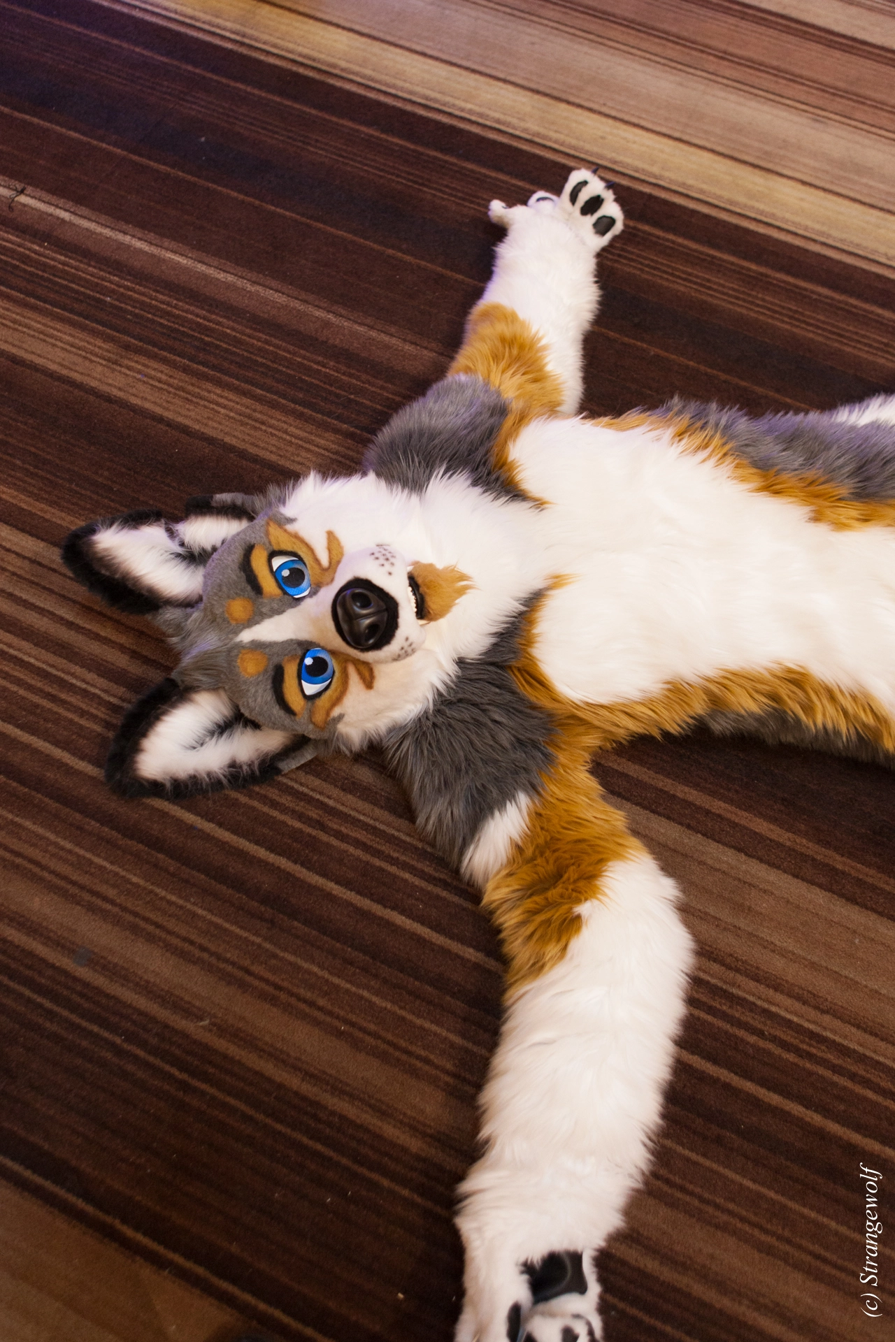 full image IMG_1939-lr19t.jpg