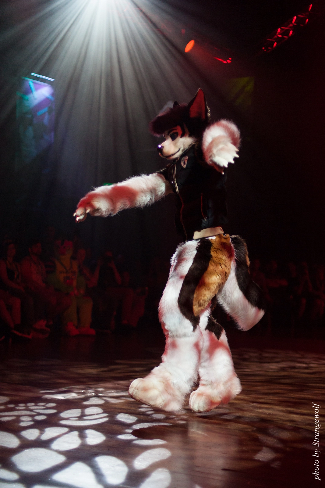 full image IMG_9500-lr16t.jpg