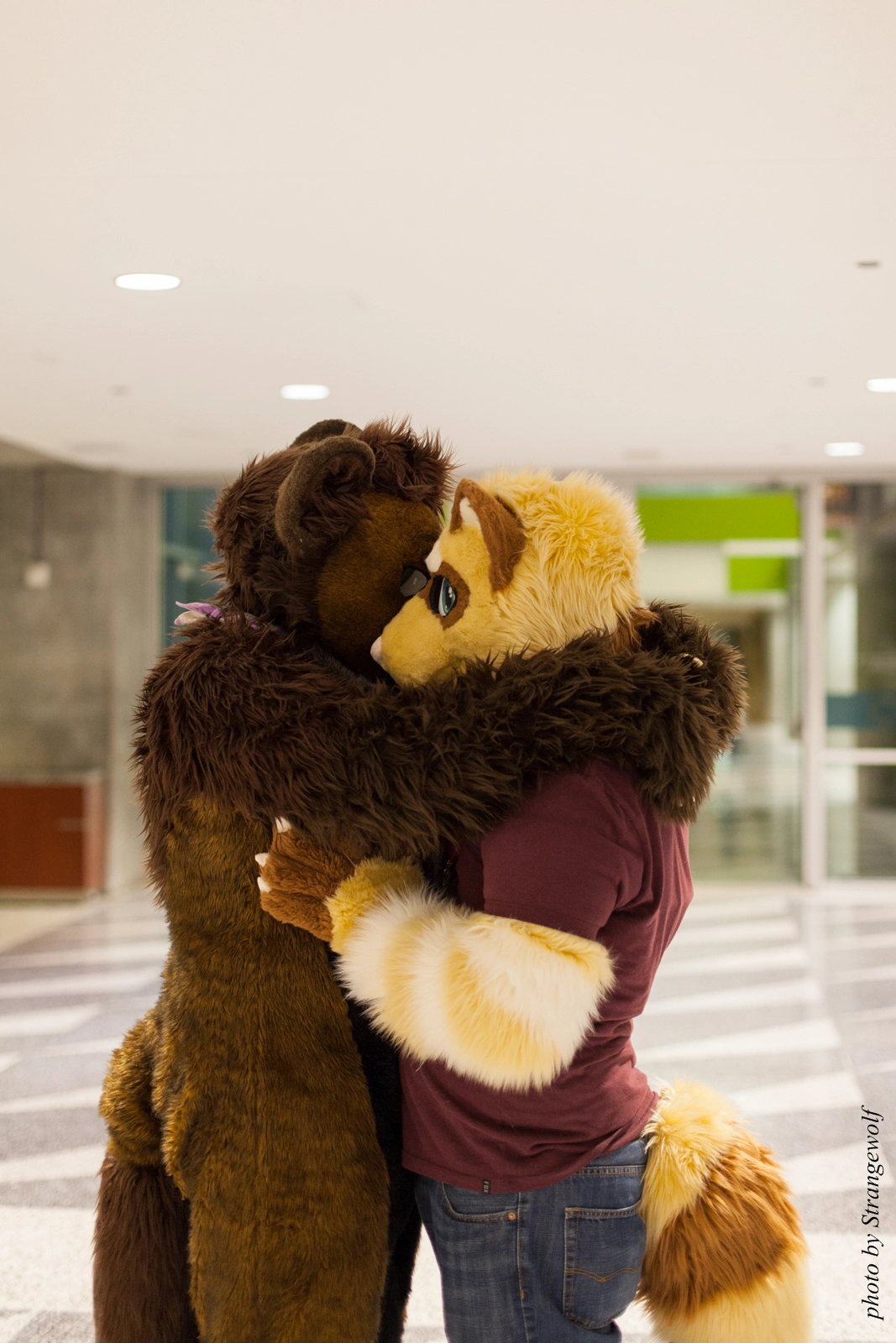 full image IMG_1109-lr16t.jpg