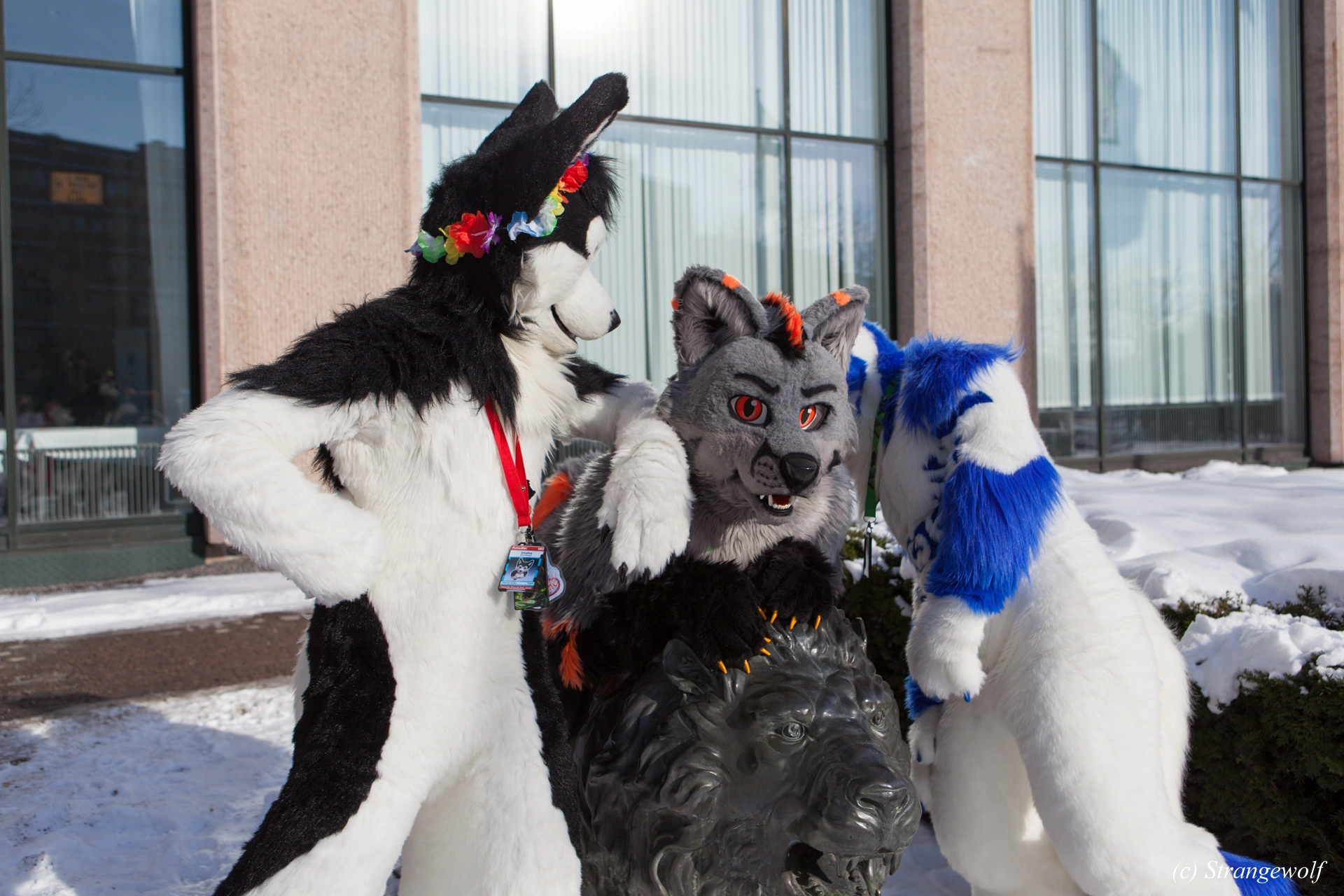 full image IMG_9673-lr19t.jpg