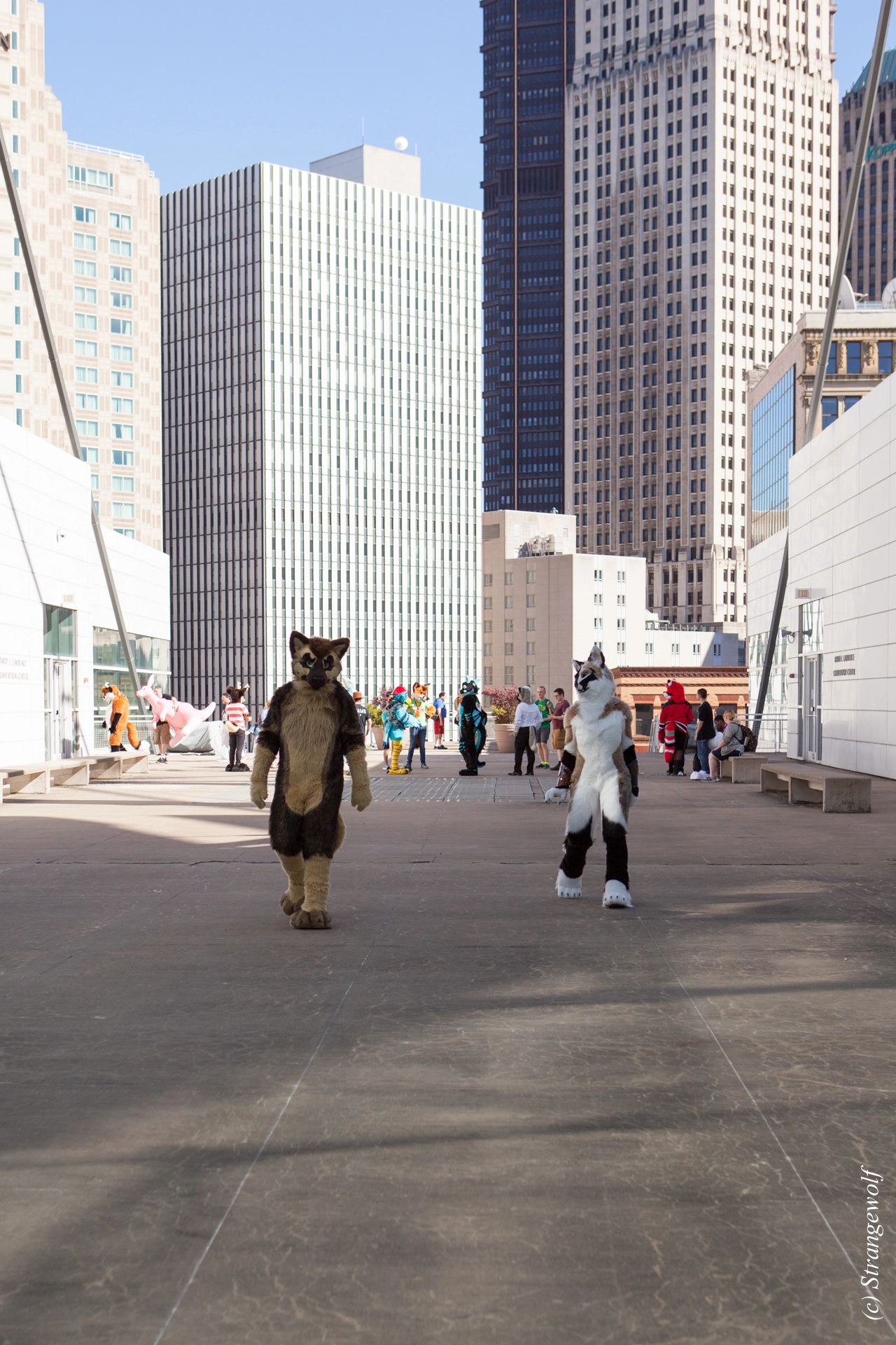 full image IMG_4256-lr19t.jpg