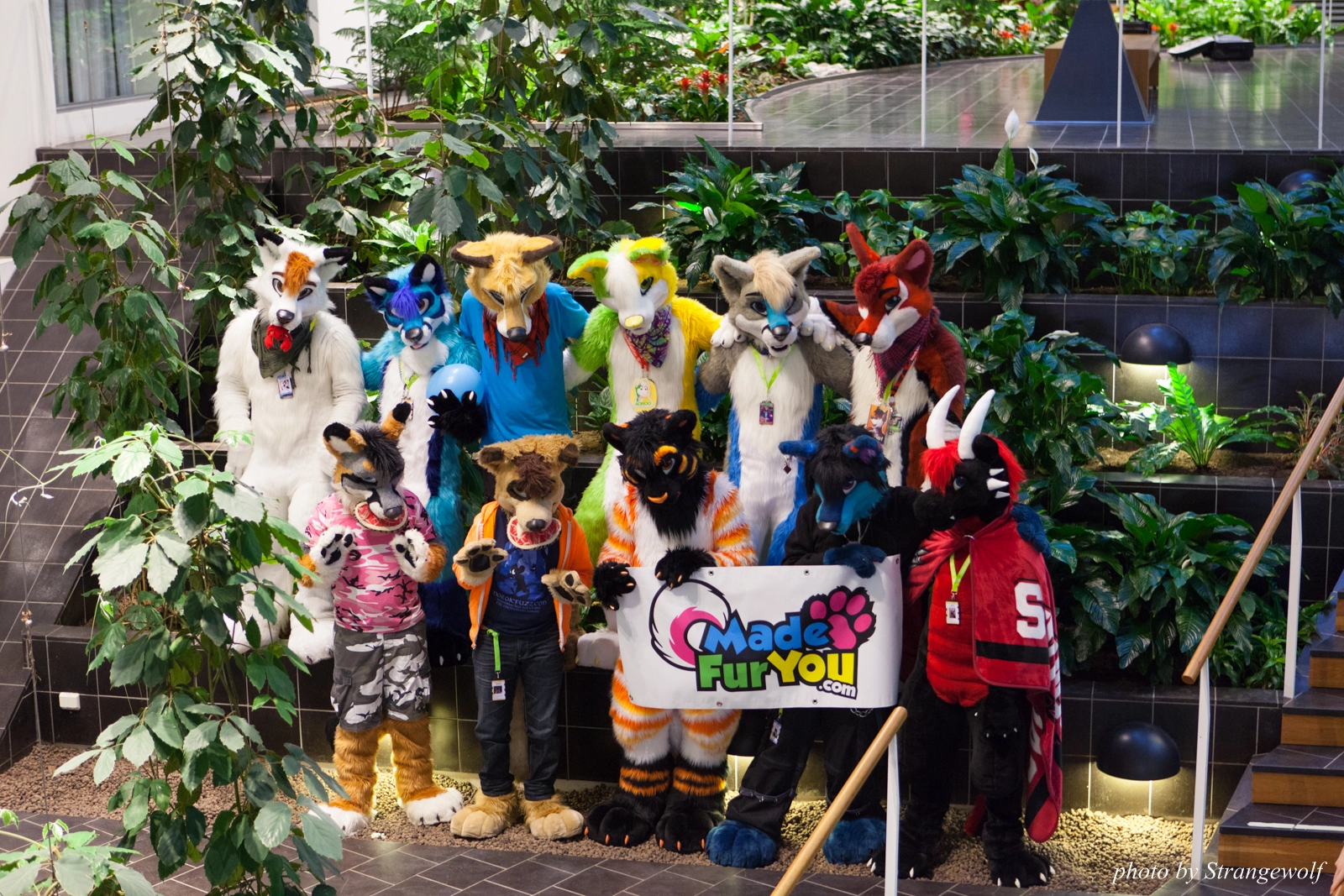 full image IMG_1685-lr16t.jpg