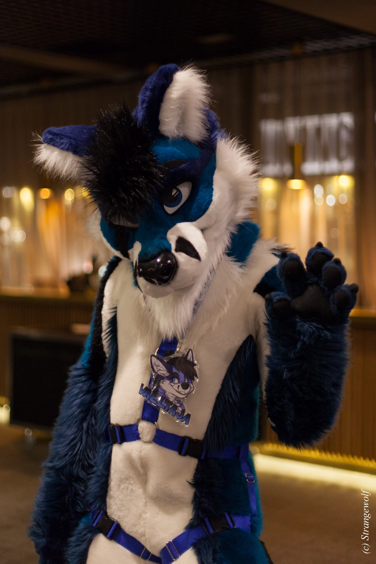 full image IMG_9119-lr19t.jpg