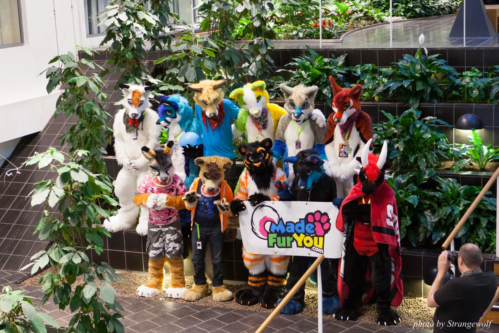 full image IMG_1668-lr16t.jpg