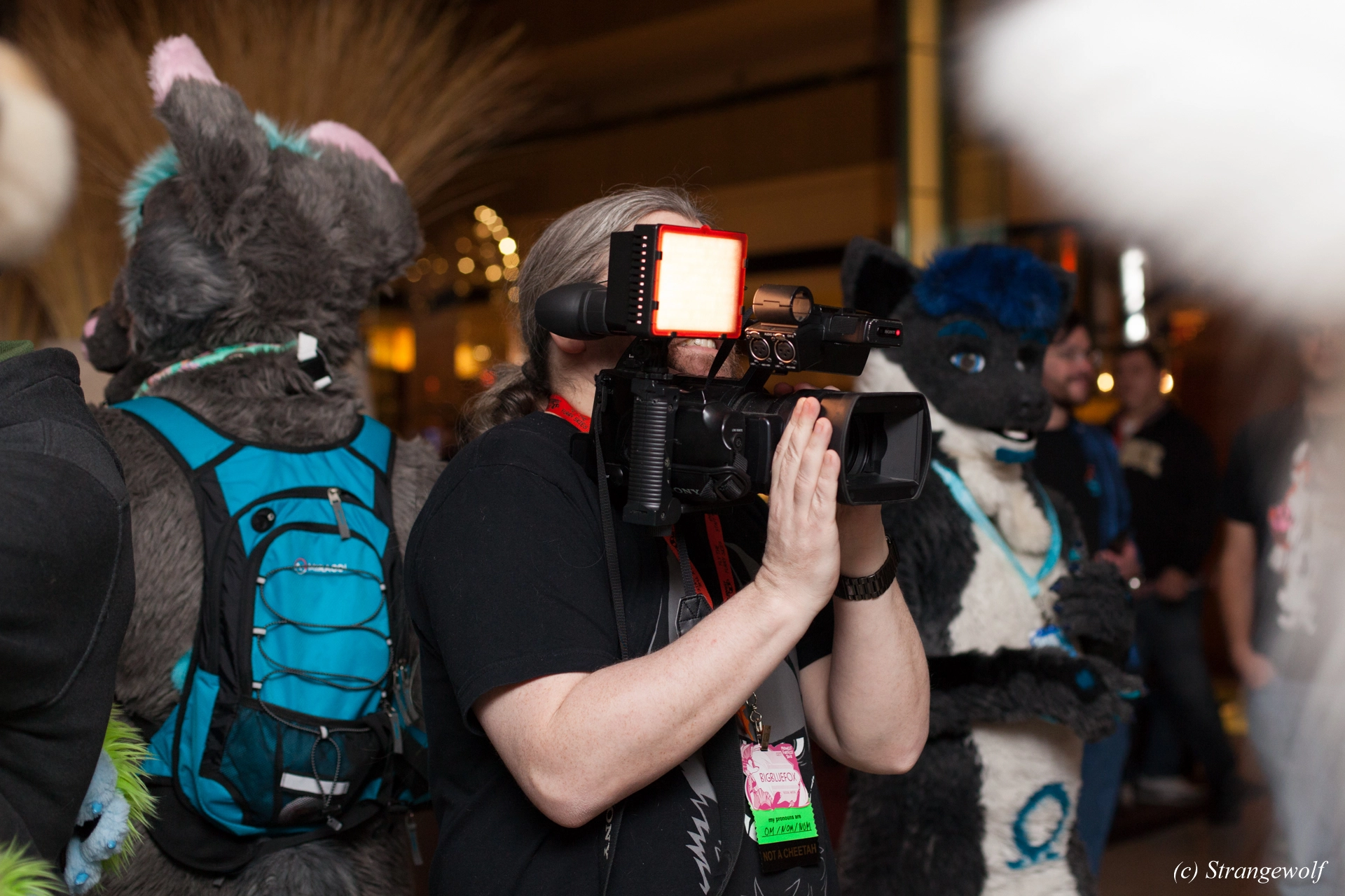 full image IMG_7373-lr19t.jpg