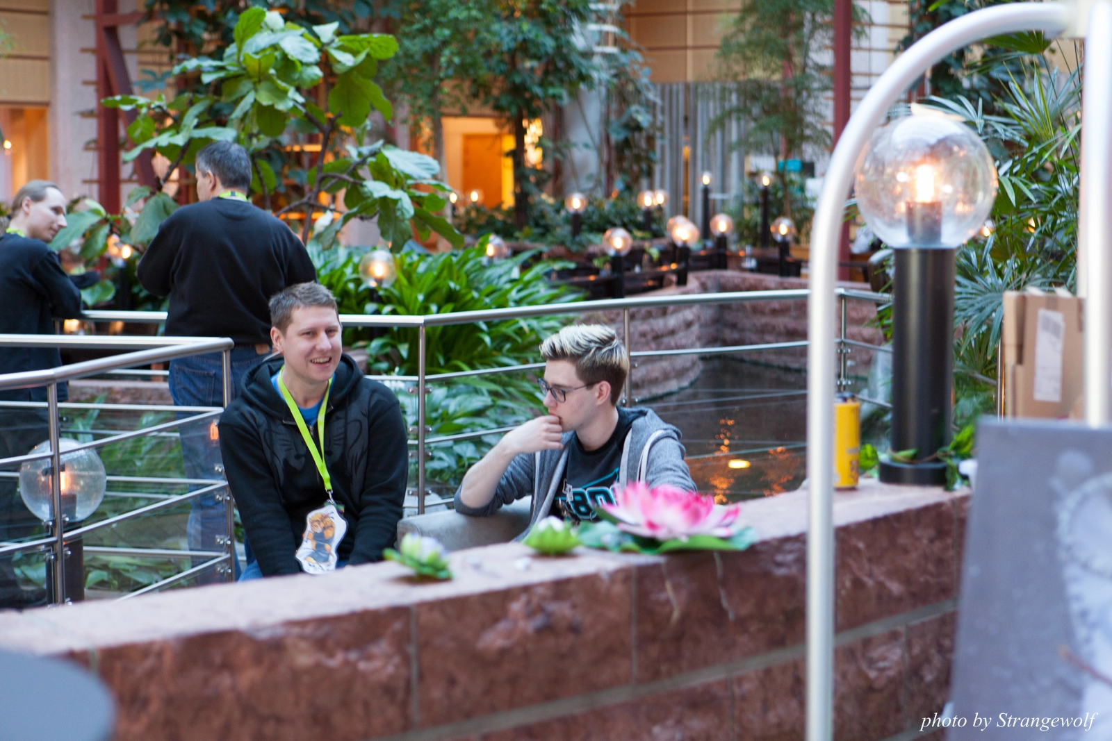 full image IMG_2121-lr16t.jpg