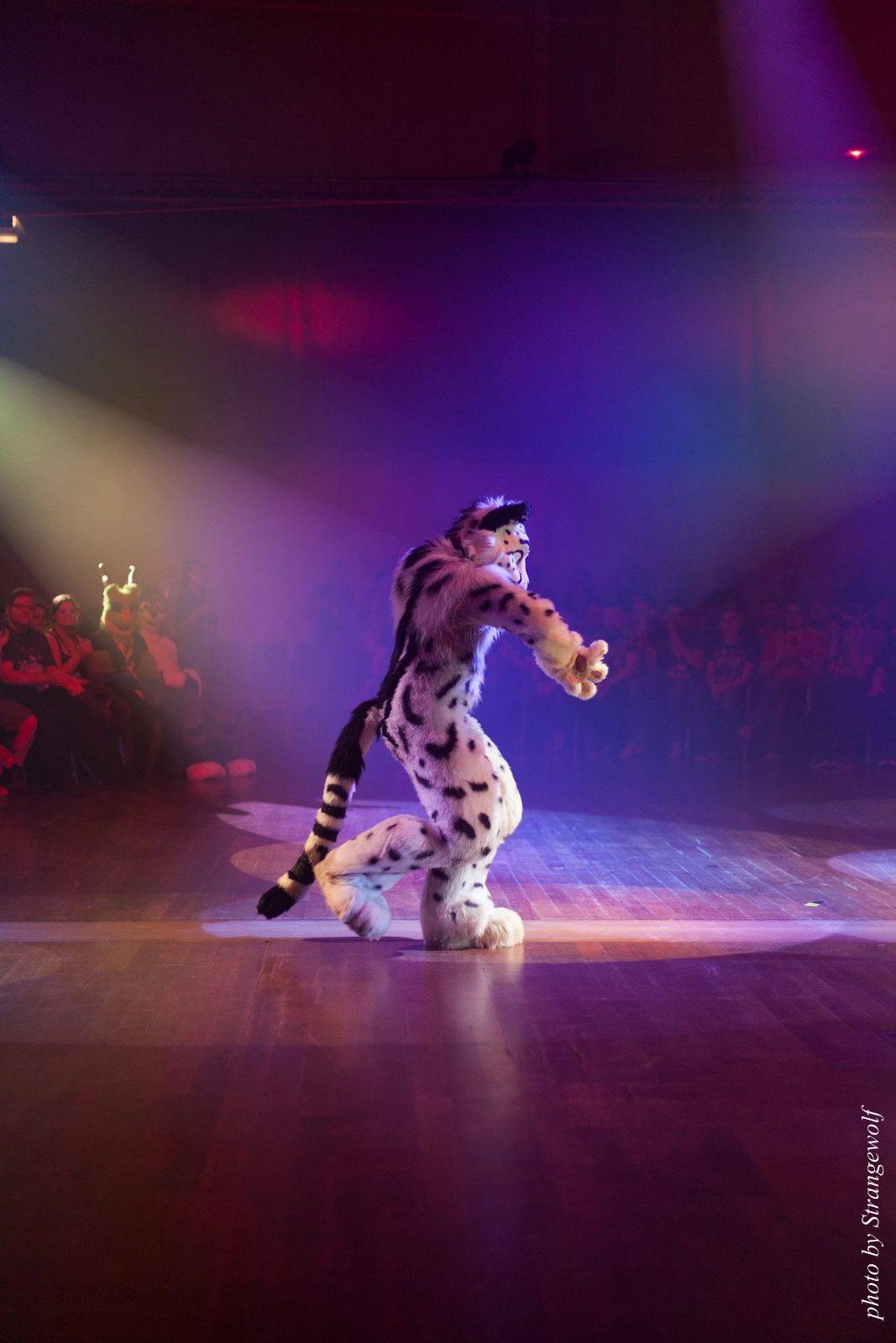 full image IMG_2563-lr16t.jpg