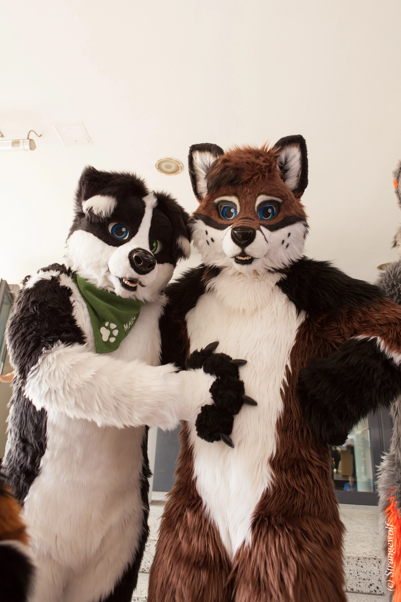 full image IMG_4940-lr19t.jpg