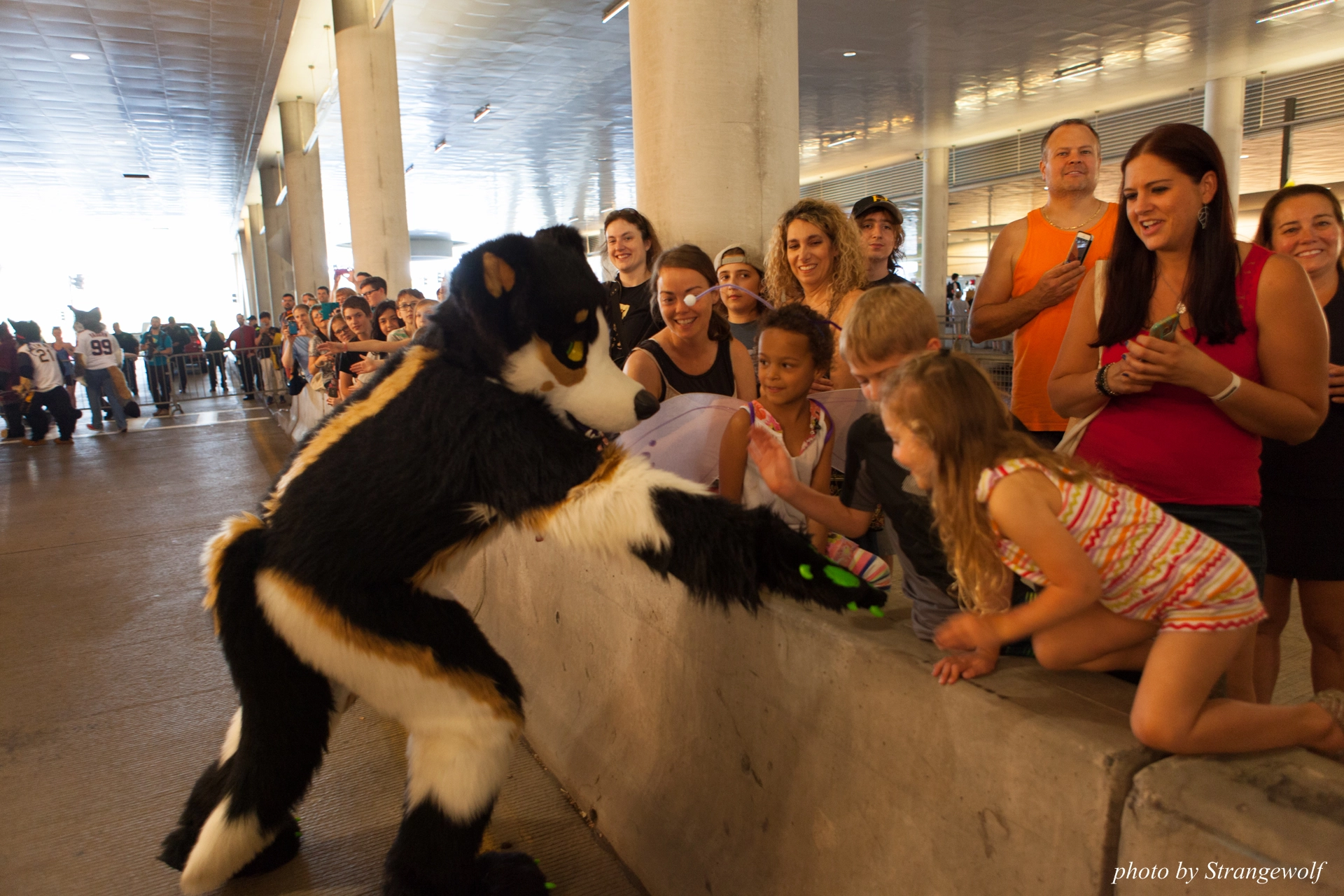 full image IMG_4424-lr19t.jpg