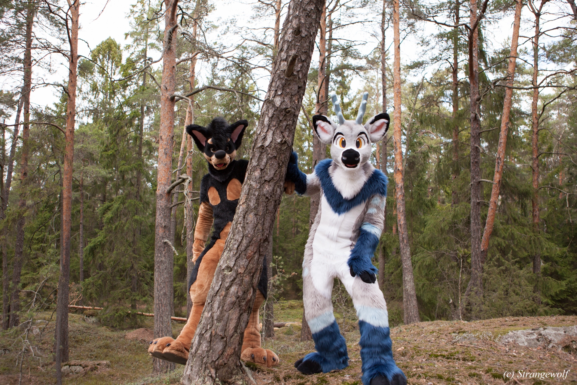 full image IMG_8640-lr19t.jpg