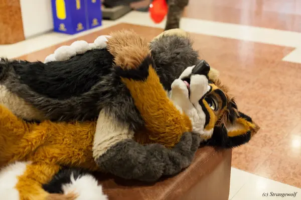 IMG_9135-lr19t.jpg of NFC/NFC2019/