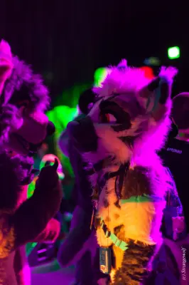 IMG_9334-lr19t.jpg of NFC/NFC2020/