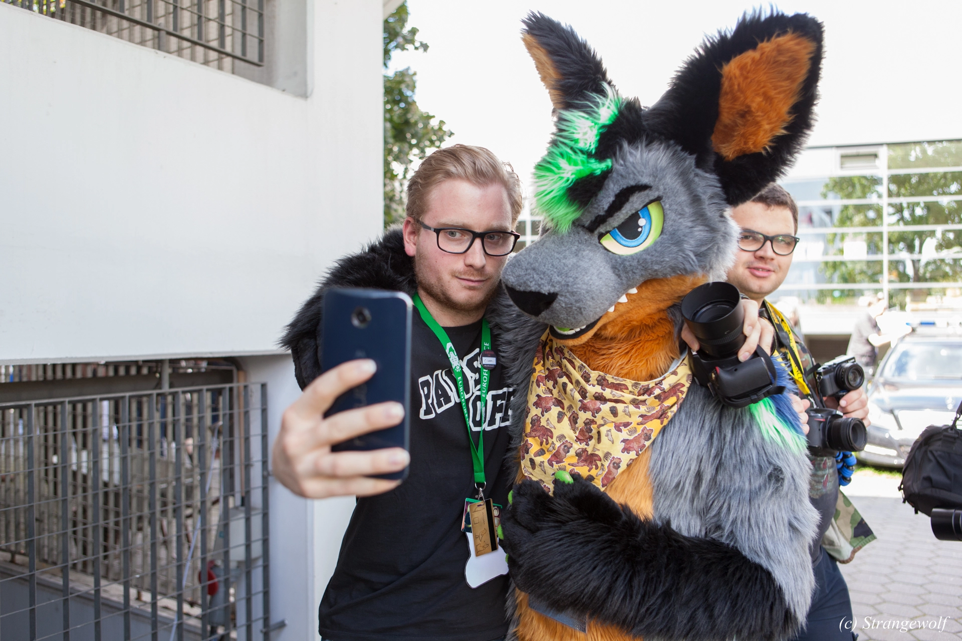 full image IMG_6904-lr19t.jpg