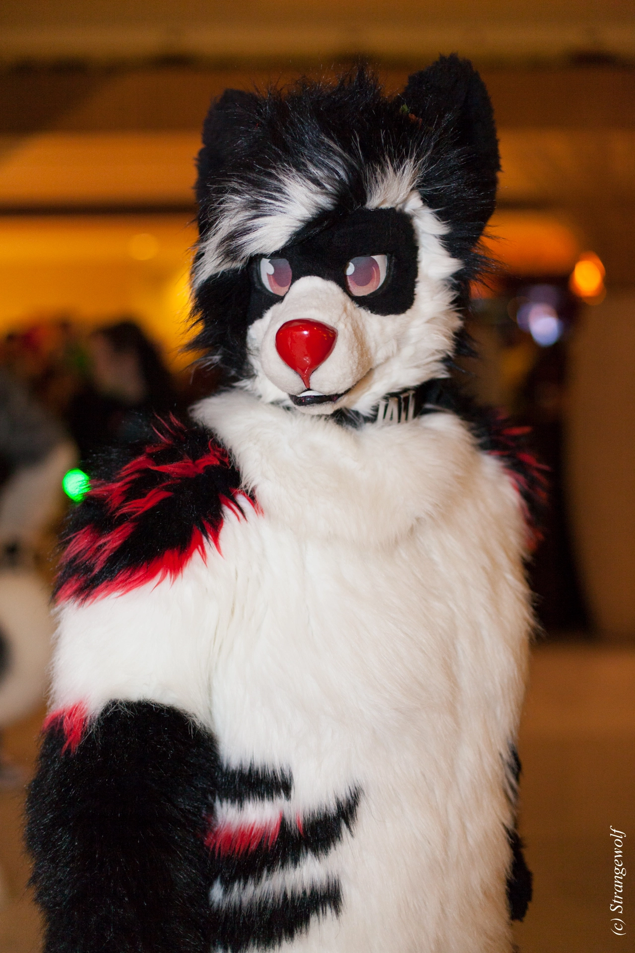 full image IMG_7078-lr19t.jpg