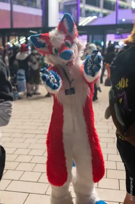 1R3A9489-lr19t.jpg of EF/EF29/