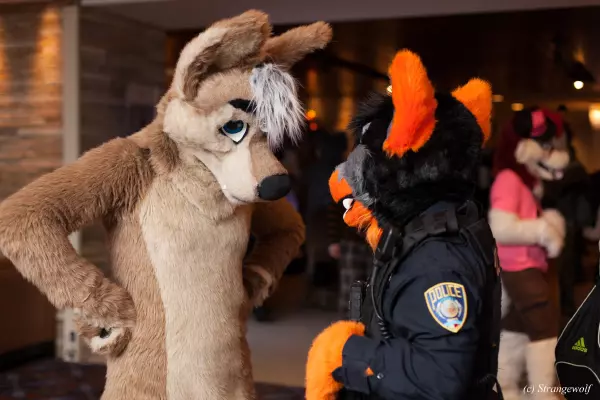 IMG_7301-lr19t.jpg of MFF/MFF2018/