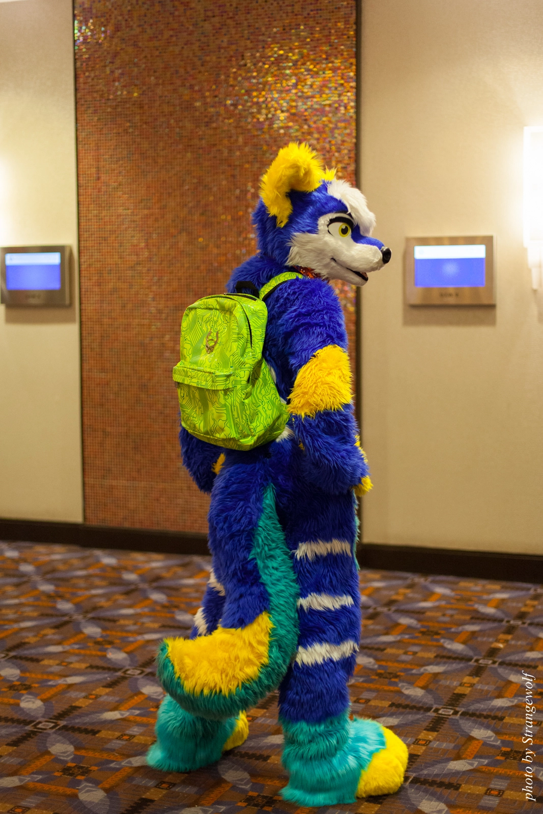 full image IMG_0876-lr16t.jpg
