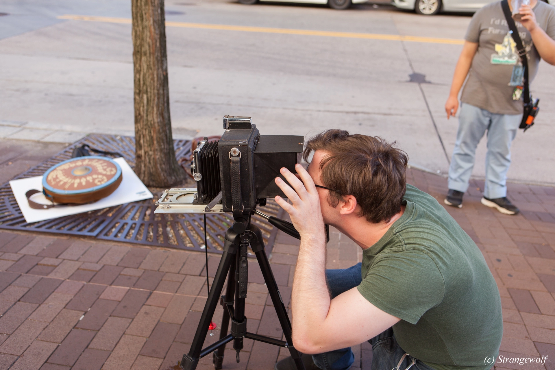 full image IMG_4393-lr19t.jpg