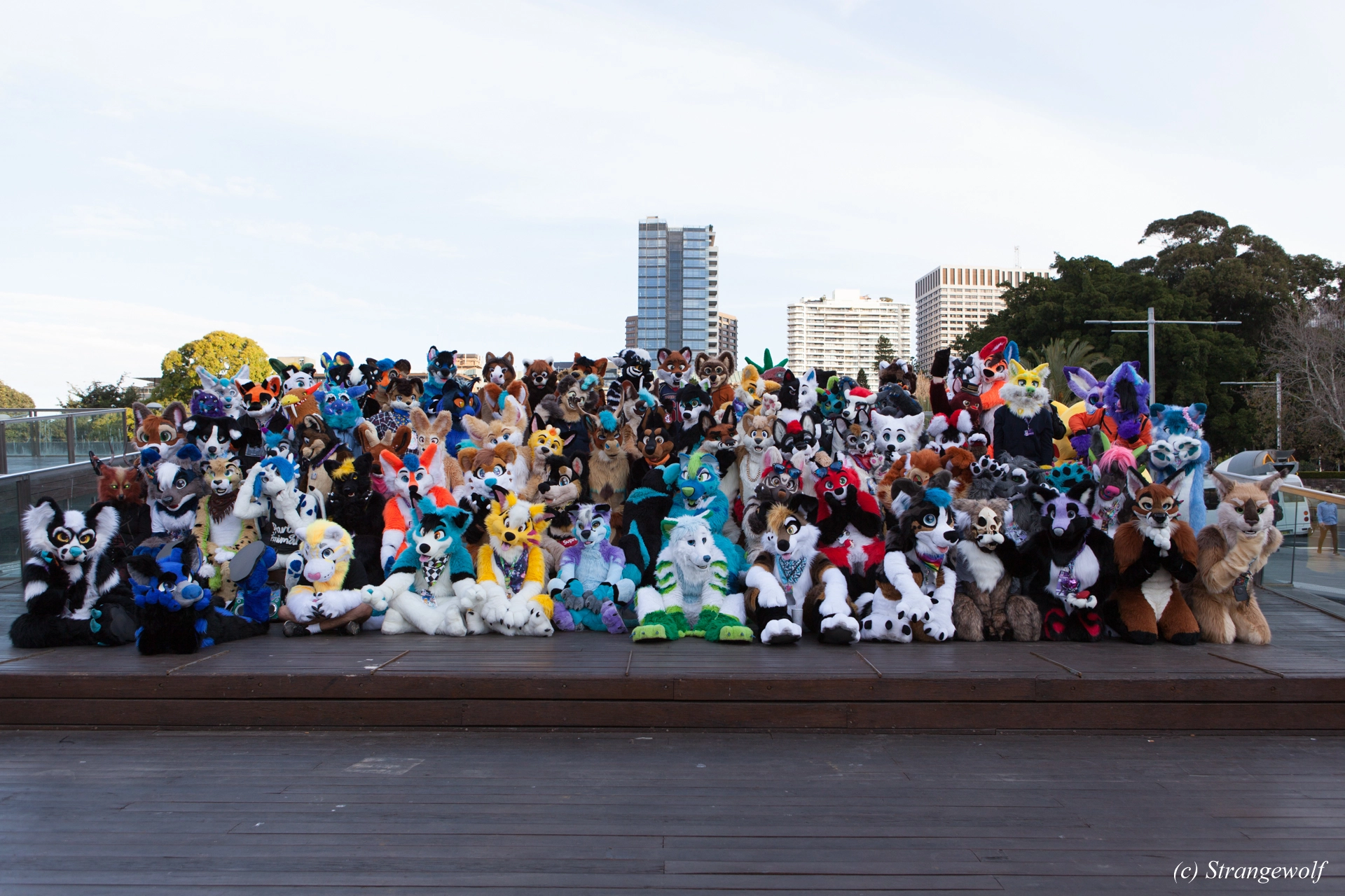 full image IMG_4629-lr19t.jpg