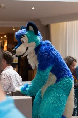 IMG_7127-lr16t.jpg of CFZ/CFZ2016/