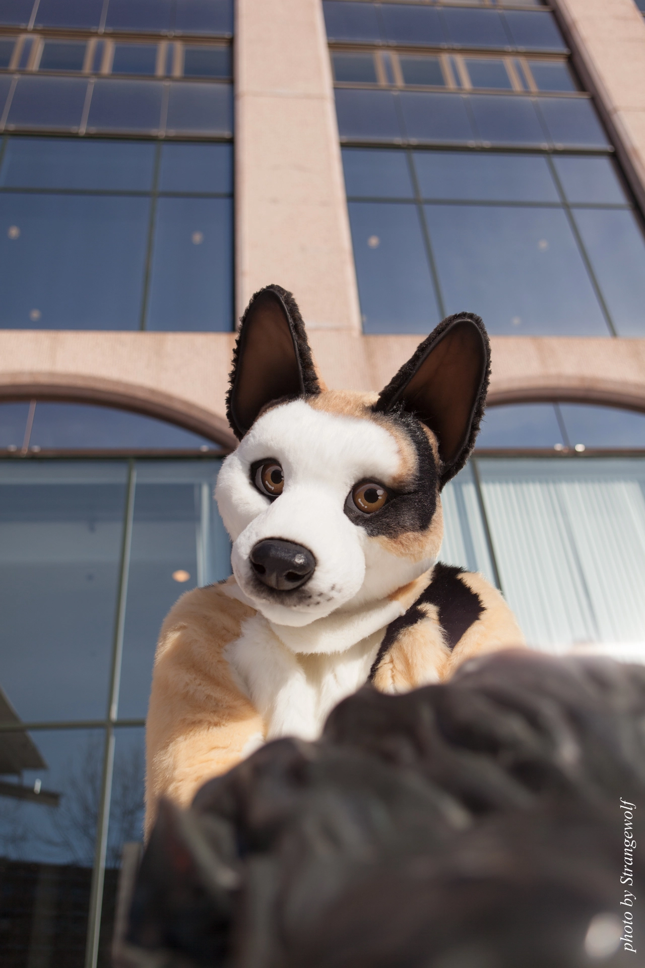 full image IMG_9590-lr19t.jpg