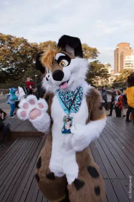 IMG_4615-lr19t.jpg of HCFC/HCFC2019/